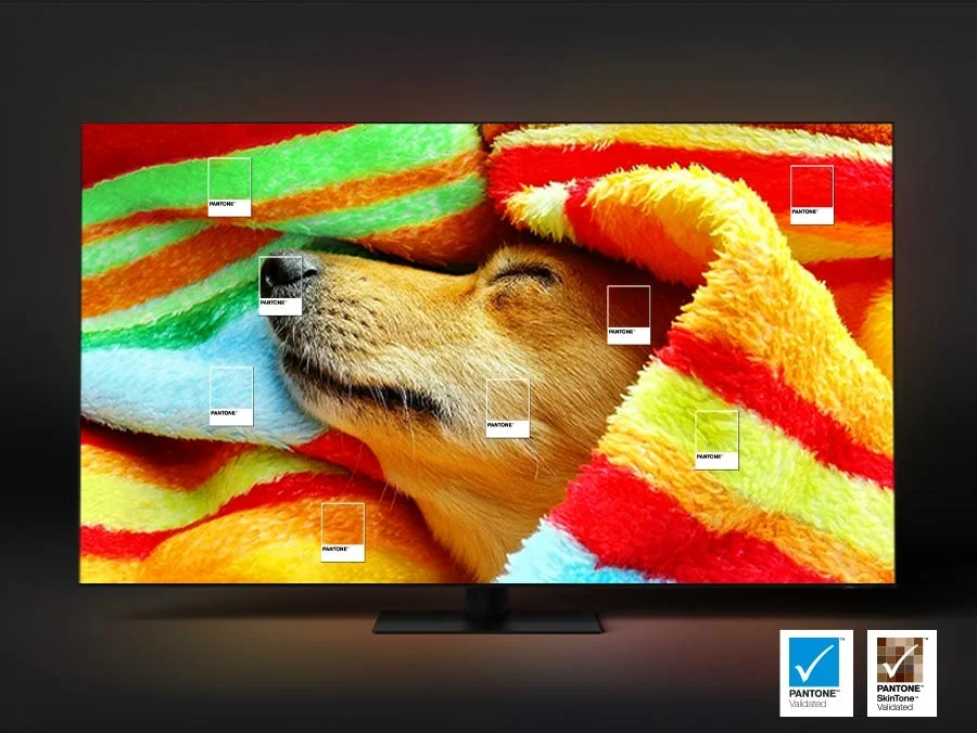 QA55QN85DBUXMV Maroc Smart TV Samsung Neo QLED 4K 55 série 8 Maroc Téléviseur Samsung Neo QLED 55 Maroc, La validation PANTONE certifie l'expression précise de 2 030 couleurs PANTONE et de 110 teints de peau récemment ajoutés.