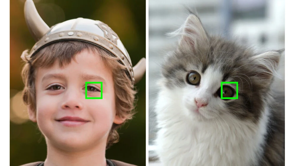 Sony A6600 18-135 mm Appareil photo hybride UHD 4K30p OLED XGA 4D ILCE-6600M (4548736108653) 29 Appareil photo Sony A6600 18-135 mm Maroc Sony A6600 Maroc ILCE-6600M Maroc 4548736108653 Maroc Appareil photo hybride Maroc, Couvrant la quasi-totalité du capteur, le puissant système 4D FOCUS intègre 425 points de détection de phase et 425 zones de détection de contraste pour une mise au point précise en seulement 0,02 seconde.g.