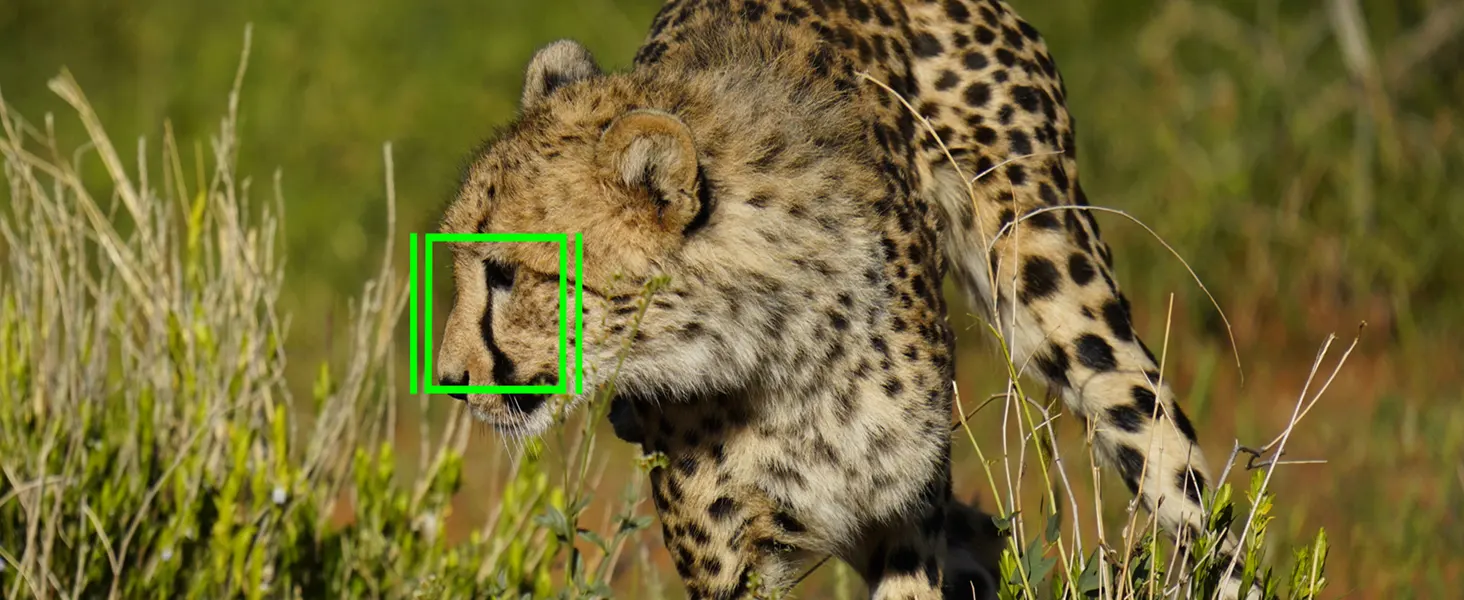 Appareil photo Sony ALPHA a7R IVA Maroc Sony ALPHA a7R IVA ILCE-7RM4A Maroc 4548736128538 Maroc Appareil photo hybride Maroc, L'appareil photo robuste Sony ALPHA a7R IVA intègre un système de stabilisation d'image SteadyShot INSIDE à 5 axes offrant une stabilisation efficace de 5,5 stops. Ce système compense cinq types de tremblements différents lors de la prise de vue à main levée