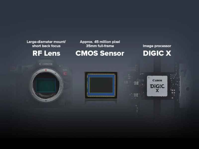 Camera Canon Appareil photo Canon EOS R5 C Maroc 4549292184860 Maroc Appareil photo Canon EOS R5 C Maroc, Le capteur CMOS 8K et le processeur DIGIC X produisent une vidéo de haute qualité jusqu'à une résolution de 8K60. L'utilisation du format Cinema RAW Light, avec son mode haute efficacité, permet l'enregistrement sur carte interne sans enregistreur externe 