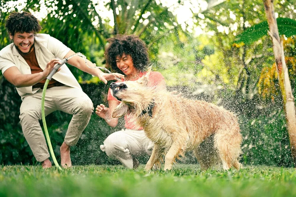 Nikon Z5 II 24-200 mm f/4-6.3 Appareil photo hybride 24.5MP UHD 4K60p (4960759917409) 29 Camera Nikon Appareil photo Nikon Z5 II 24-200 mm f/4-6.3 Maroc 4960759917409 Maroc Appareil photo Nikon Z5 II 24-200 mm Maroc, le Nikon Z5 II 24-200 mm f/4-6.3 propose une polyvalence rare à ce niveau de gamme. Il enregistre en 4K jusqu’à 60p (avec recadrage) et propose du Full HD 120p pour des ralentis fluides. Il intègre également le format N-RAW