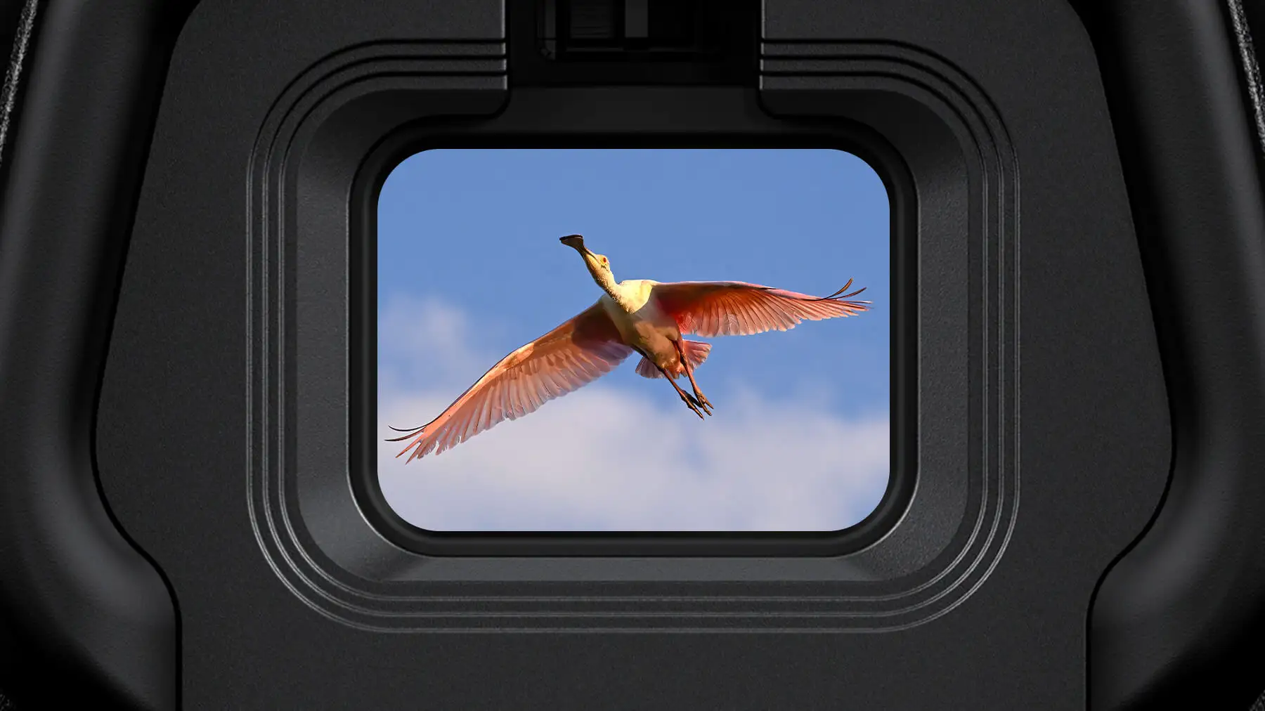 Camera Nikon Appareil photo Nikon Z6 III Maroc 4960759916501 Maroc Appareil photo hybride Nikon Z6 III Maroc, Cette fonctionnalité puissante permet aux photographes de capturer des plans qui auraient pu être manqués autrement, comme le moment où un oiseau prend son envol, un coup de foudre ou le but gagnant.